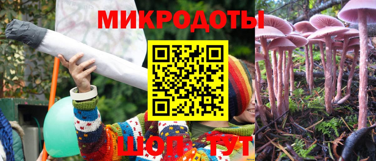 Галлюциногенные грибы Psilocybine cubensis Южноуральск
