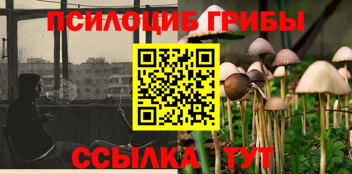 Южноуральск  Псилоцибиновые грибы Magic Shrooms  Вход с VPN 